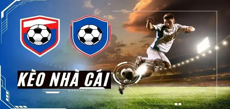 Nhận Định Kèo Nhà Cái - Nhận Định Kèo Bóng Đá Trực Tuyến Chuẩn 2025 - Nhận Định Kèo Nhà Cái coinbin 35 Nhận Định Kèo Nhà Cái - Nhận Định Kèo Bóng Đá Trực Tuyến Chuẩn 2025